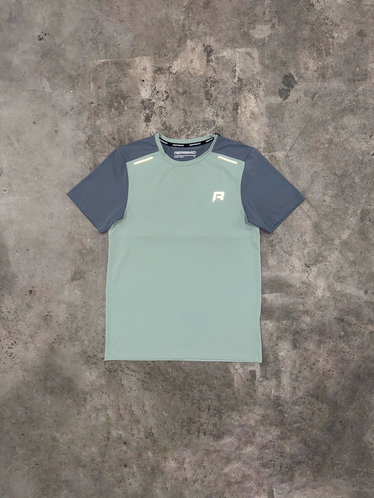 Reprimo Flight T Shirt - Blue Steel / Iceberg